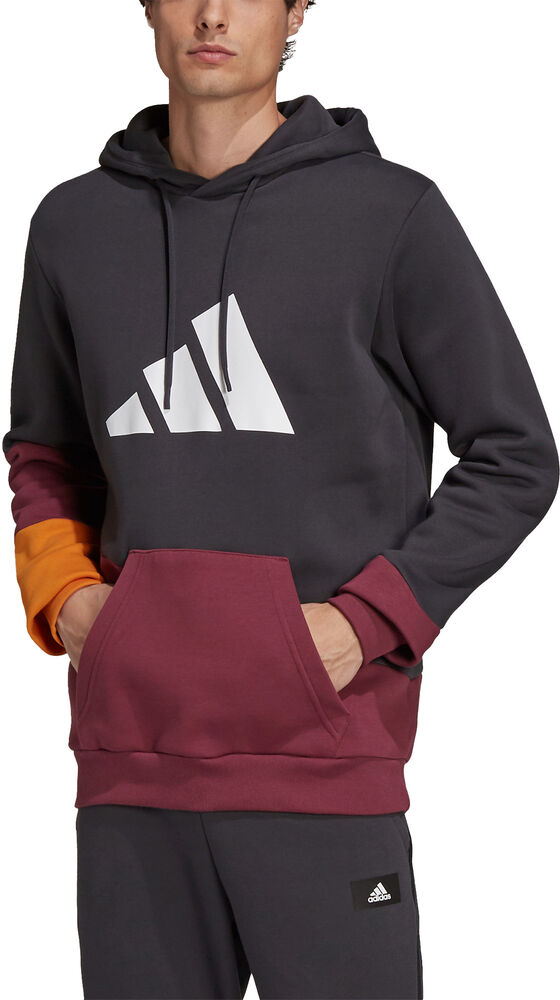 Adidas Sportswear Colorblock Hættetrøje Herrer Hoodies Og Sweatshirts Sort L