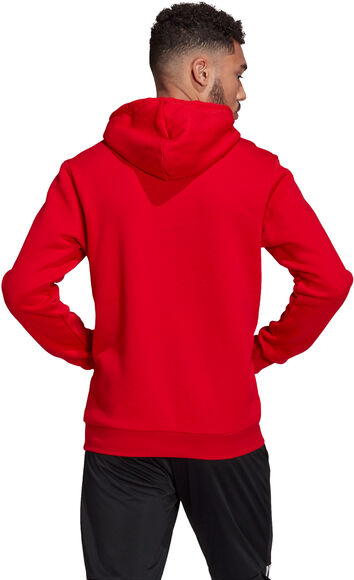 Essentials Logo Colorblock hoodie