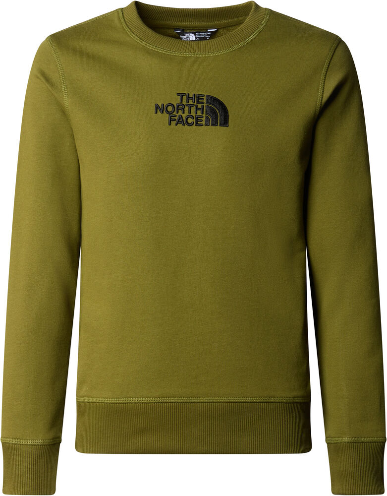 15: The North Face Drew Peak Light Sweatshirt Drenge Tøj Grøn 1012 År / L