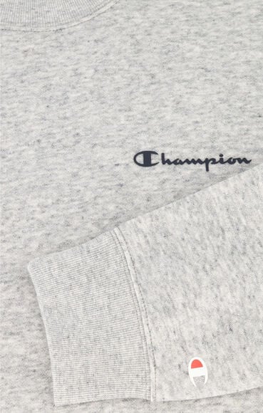 Small Script Logo Fleece sweatshirt
