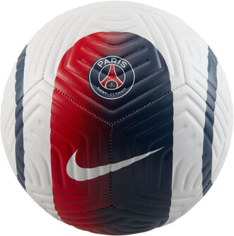 Paris Saint-Germain Academy fodbold