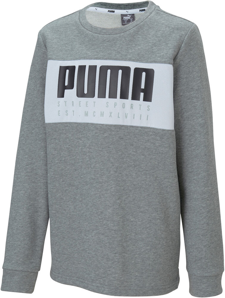 Puma Alpha Crew Sweatshirt Unisex Hoodies Og Sweatshirts Grå 164