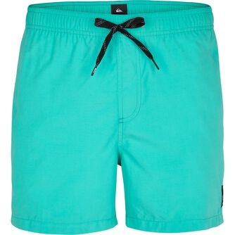 Everyday Volley 15 Swimming Shorts