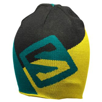 Flat Spin Reversible Beanie