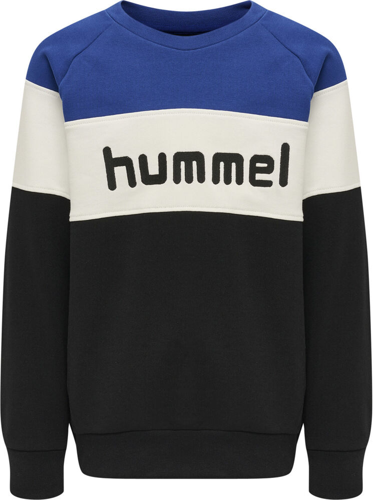Hummel Claes Sweatshirt Drenge Tøj Multifarvet 104