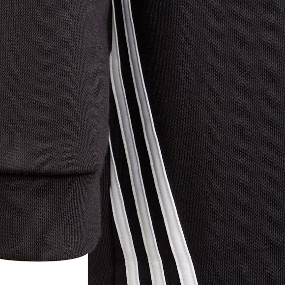 Primegreen Future Icons 3-Stripes lang hættetrøje
