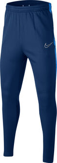 Therma Academy Soccer Pants