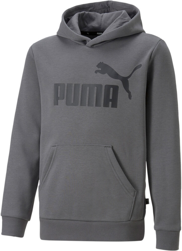 Puma Essentials Big Logo Hættetrøje Unisex Tøj Grå 116